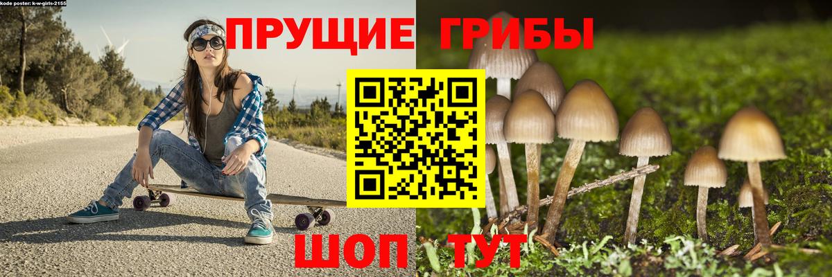 Псилоцибиновые грибы мухоморы Канск